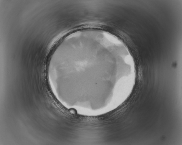 X0000115171164200912091016