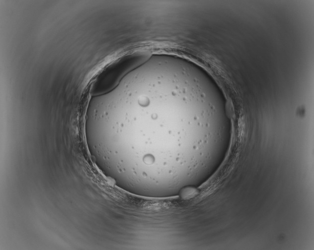 X0000115171165200912091016