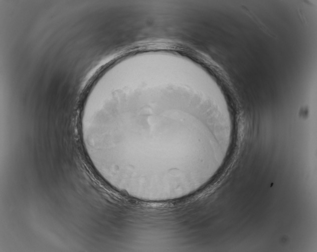 X0000115171166200912091016