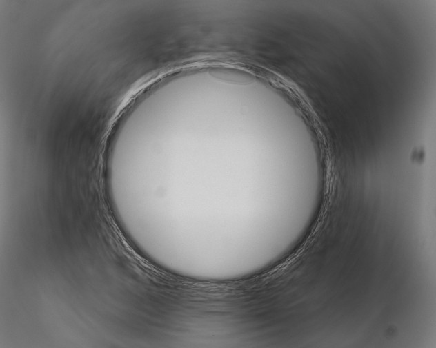 X0000115171168200912091016