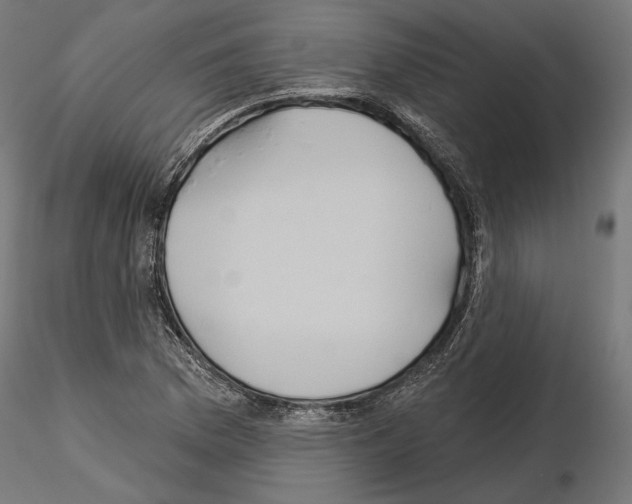 X0000115171169200912091016