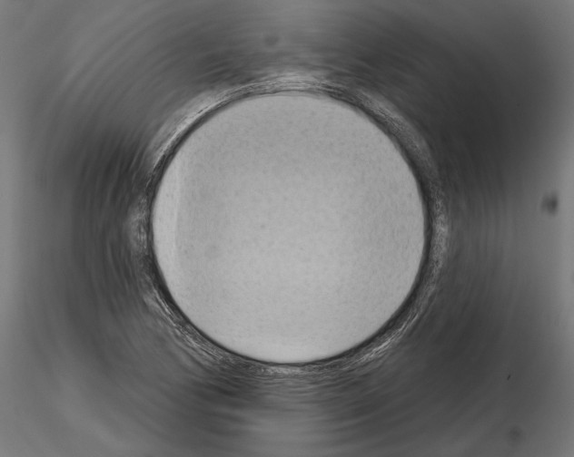 X0000115171170200912091016