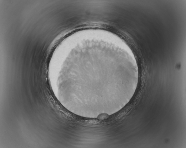 X0000115171172200912091016