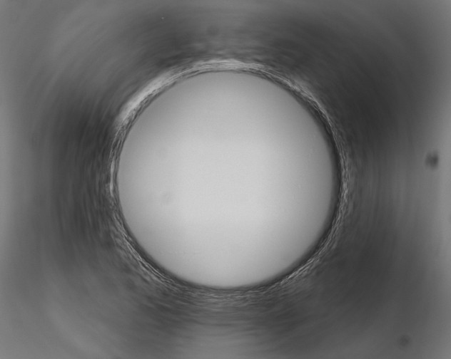 X0000115171173200912091016