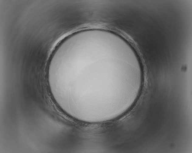 X0000115171174200912091016