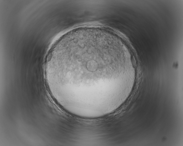 X0000115171176200912091016