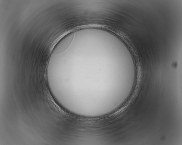 X0000115171177200912091016