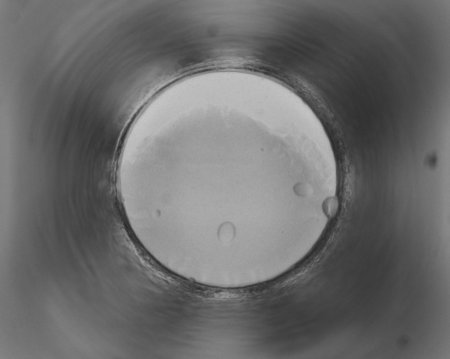 X0000115171178200912091016