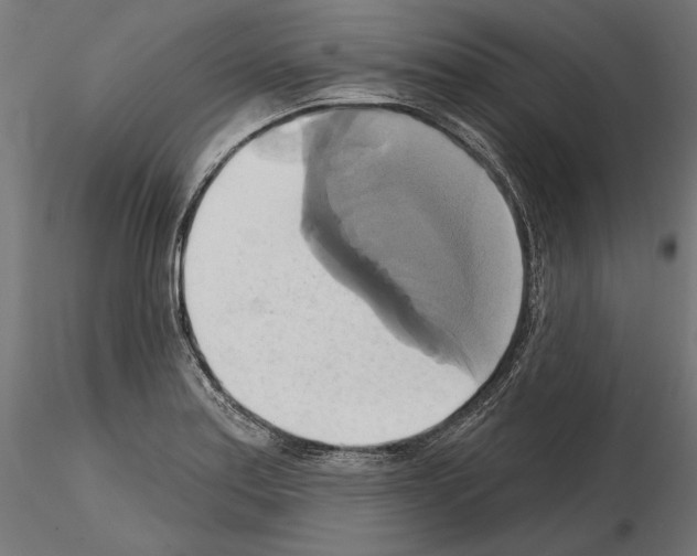 X0000115171179200912091016