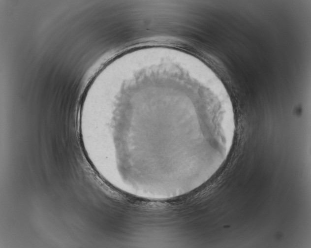 X0000115171180200912091016