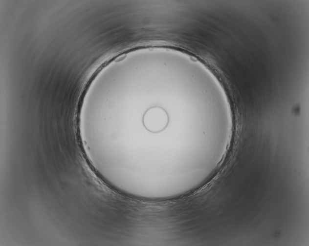 X0000115171181200912091016