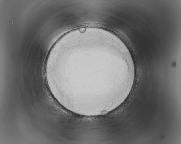 X0000115171182200912091016