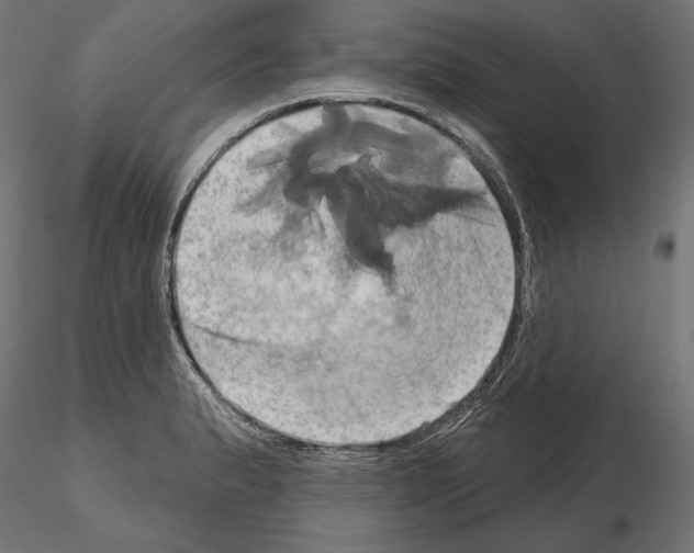 X0000115171183200912091016