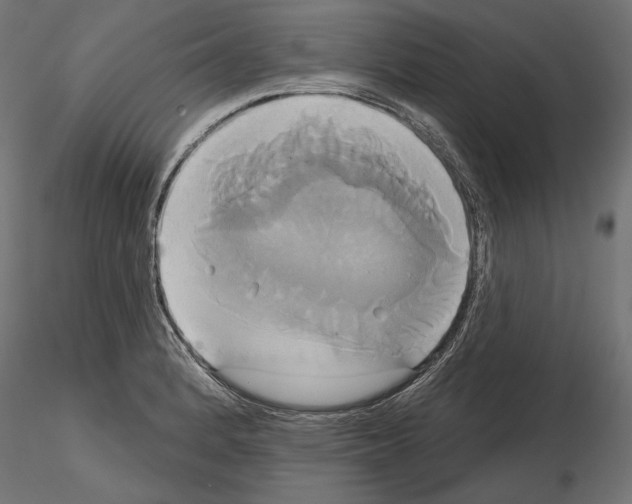 X0000115171184200912091016