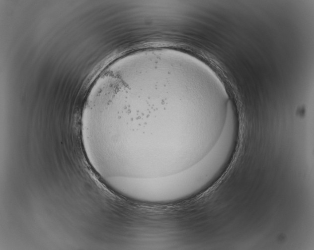 X0000115171185200912091016