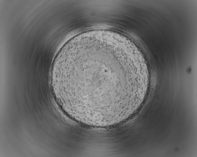 X0000115171186200912091016