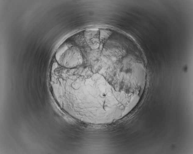 X0000115171187200912091016