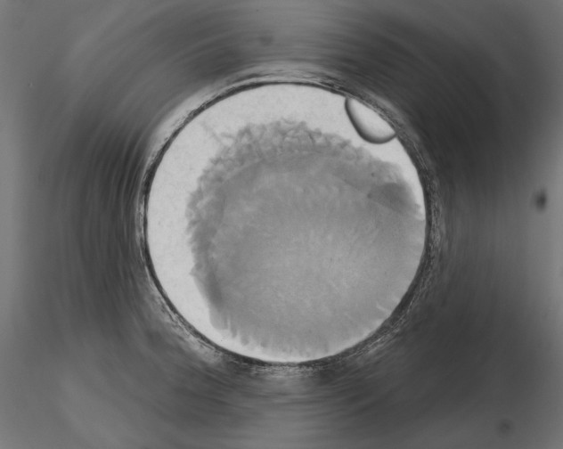 X0000115171188200912091016