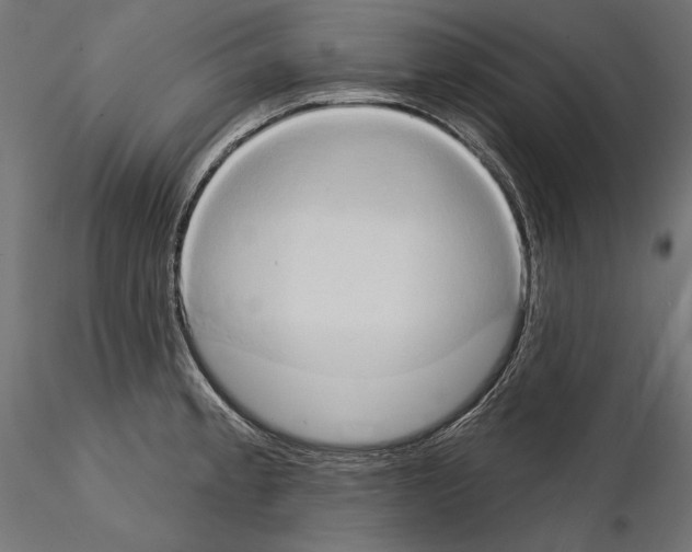 X0000115171189200912091016