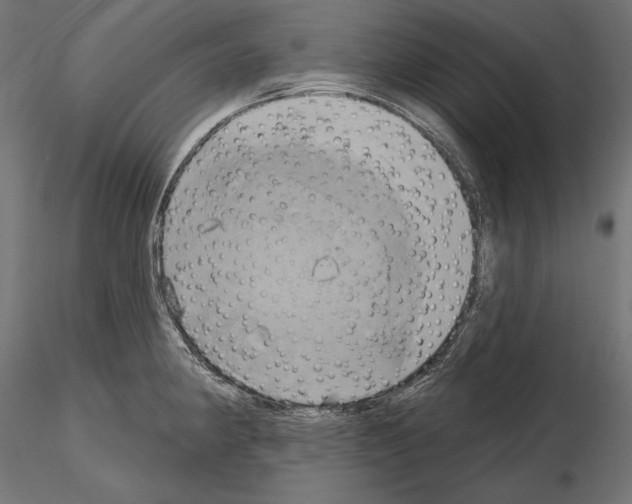 X0000115171190200912091016