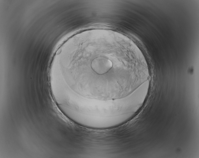 X0000115171192200912091016