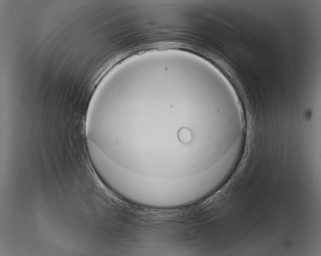 X0000115171193200912091016