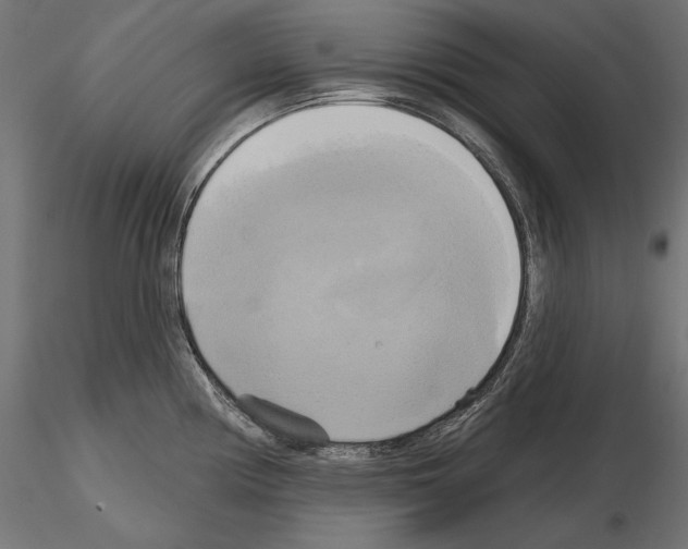 X0000115171194200912091016