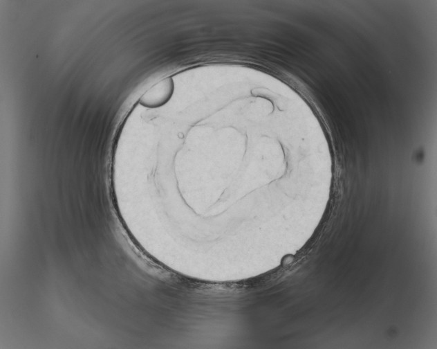 X0000115171195200912091016