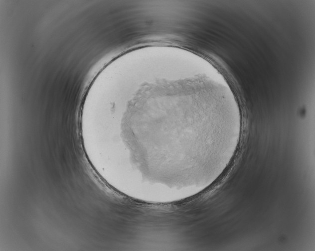 X0000115171196200912091016