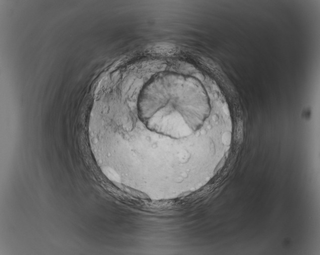 X0000115171201200912091015