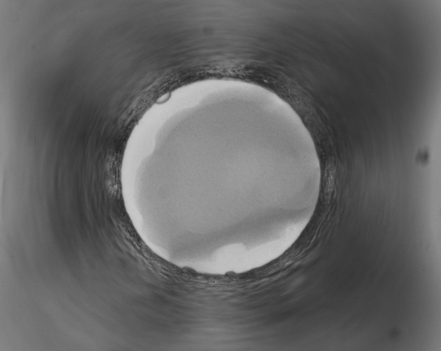 X0000115171202200912091015