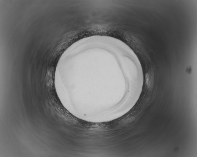 X0000115171203200912091015