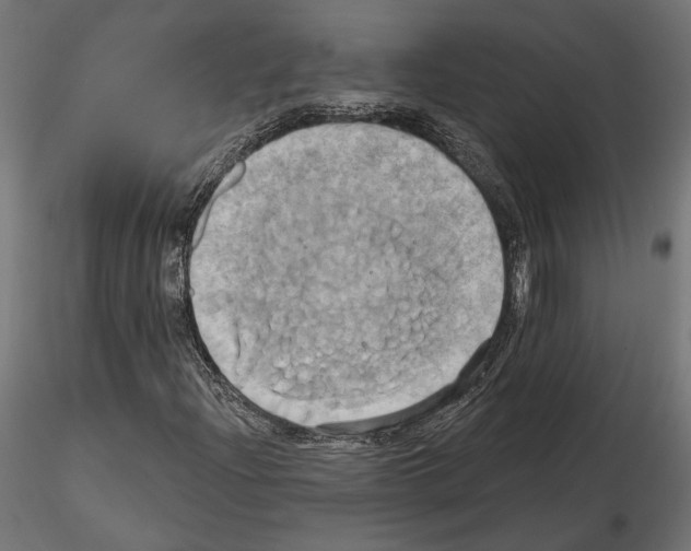 X0000115171204200912091015