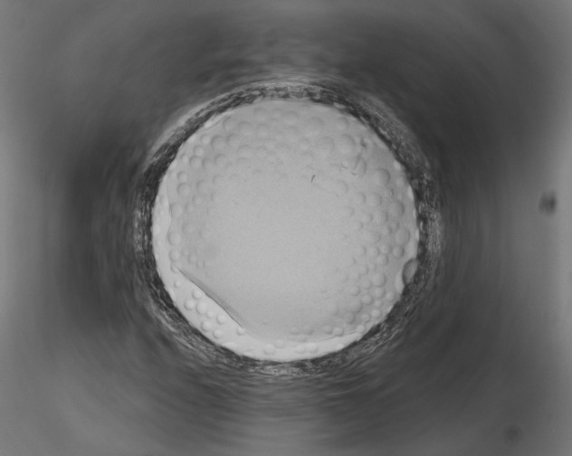 X0000115171208200912091015