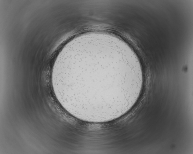 X0000115171211200912091015