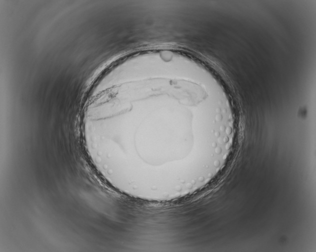 X0000115171212200912091015