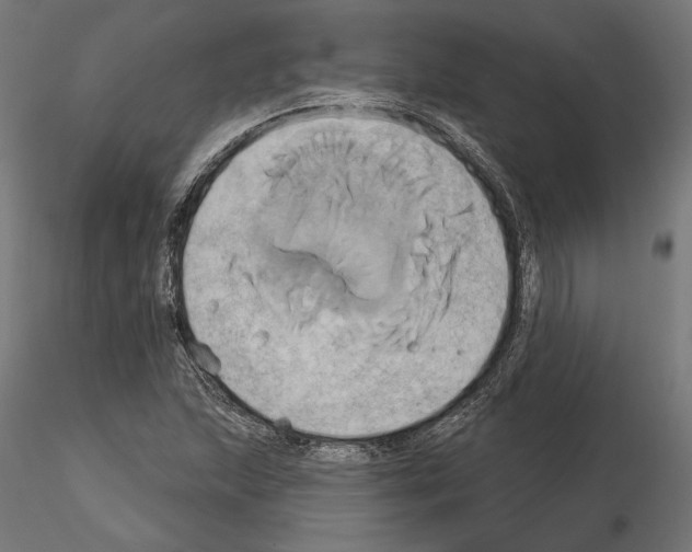 X0000115171215200912091015