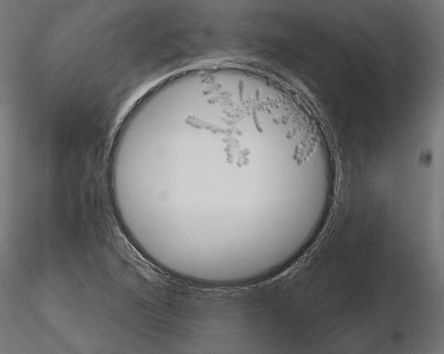 X0000115171216200912091015