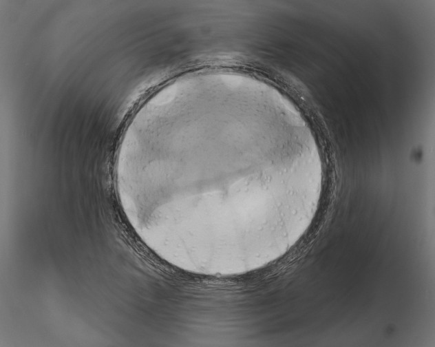 X0000115171218200912091015