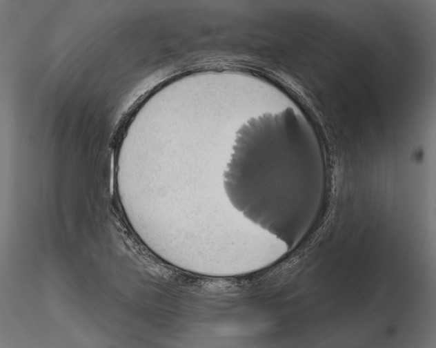 X0000115171219200912091015