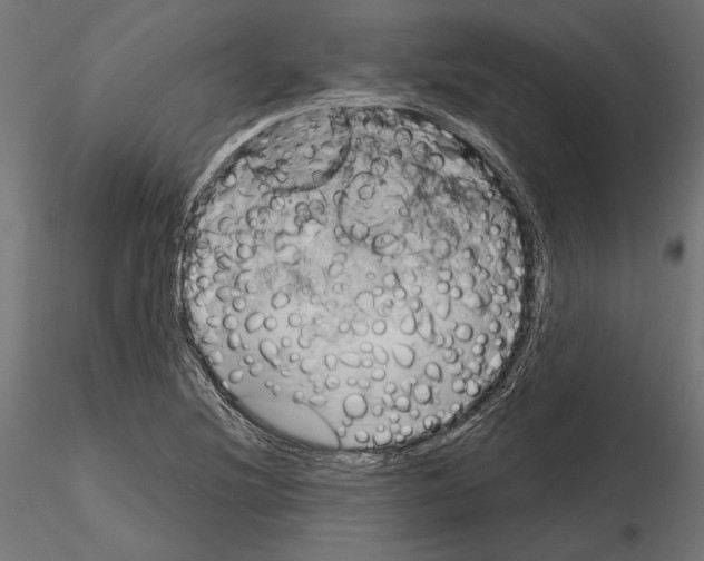 X0000115171220200912091015