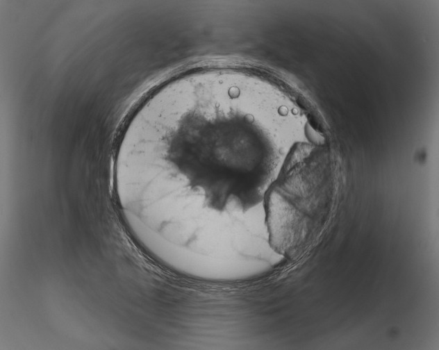 X0000115171221200912091015