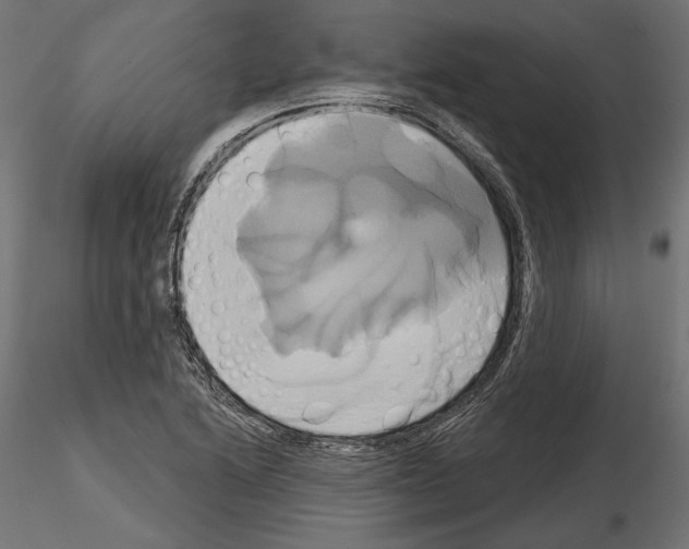 X0000115171222200912091015