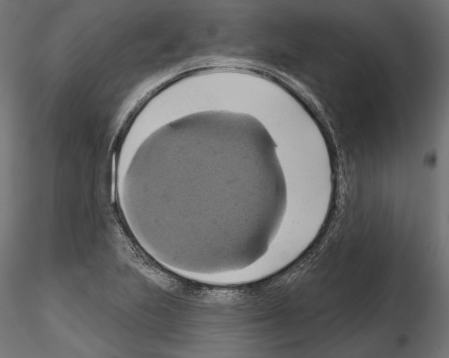 X0000115171223200912091015