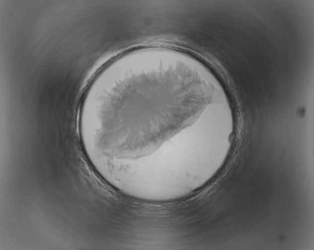 X0000115171224200912091015