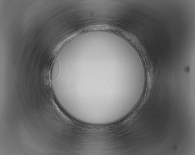 X0000115171225200912091015