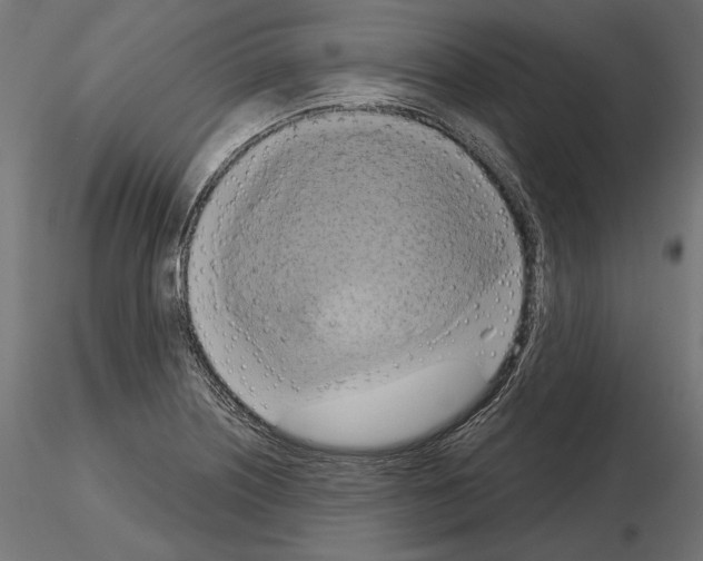 X0000115171226200912091015