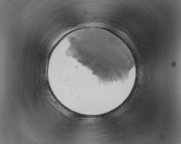 X0000115171228200912091015