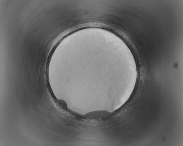 X0000115171229200912091015