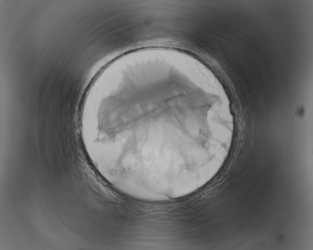 X0000115171230200912091015